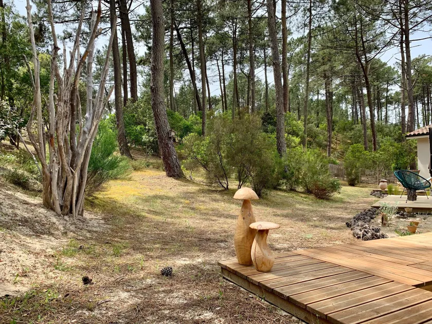 Chic Retreat by the Dunes - Image 1