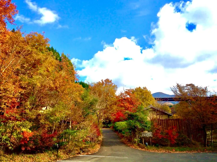 syugojin onsen - Image 1