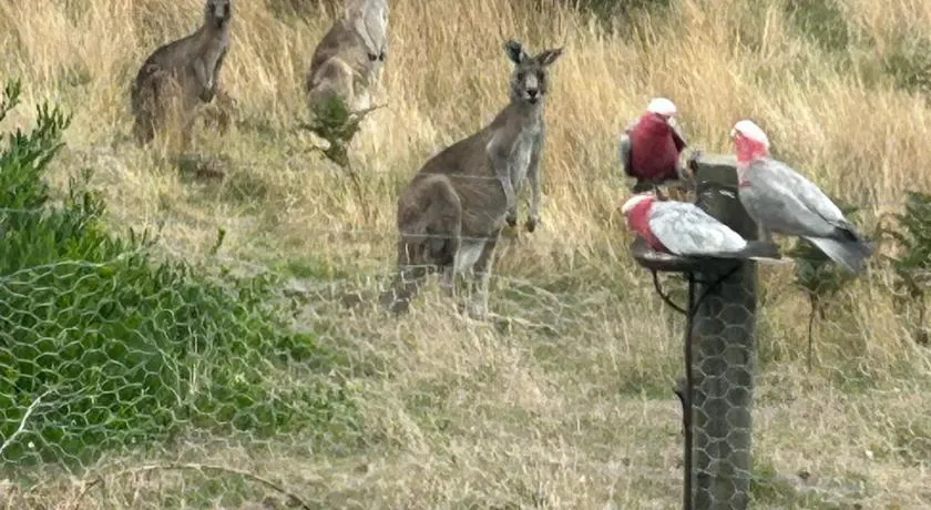 Roo Views - Linen, Wi-Fi, EV charger - Image 1
