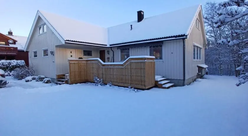 Ski WM Trondheim - Image 1