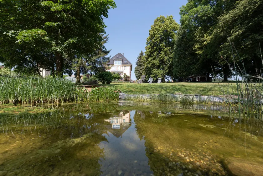 Villa Geisenhof - Image 1