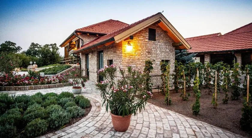BÉNI family wine farm - Image 1