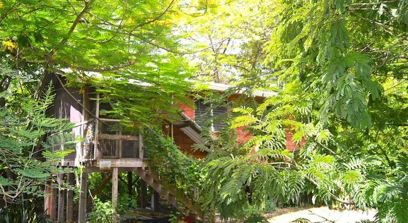 Unique Private Tree Top Cottage in Tropical Garden, Near San Ignacio Town - Image 1