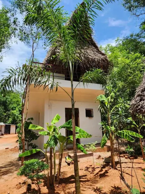 Nebula Nest Cafe & Hostel - Image 1