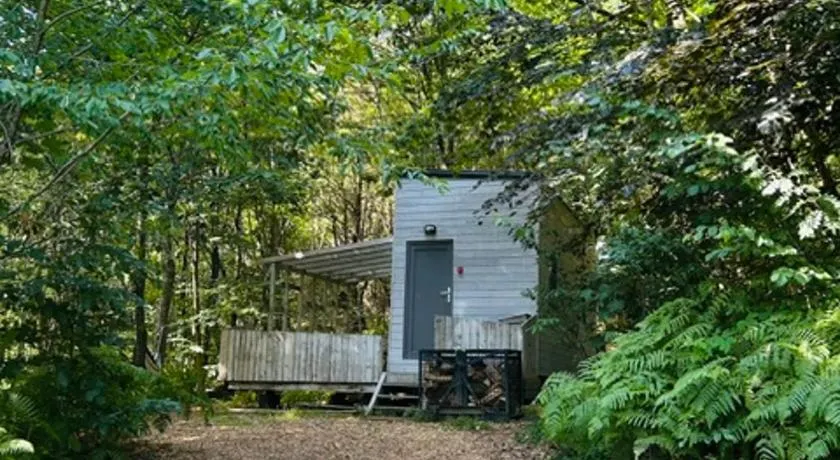 Tiny de Paula - Image 1