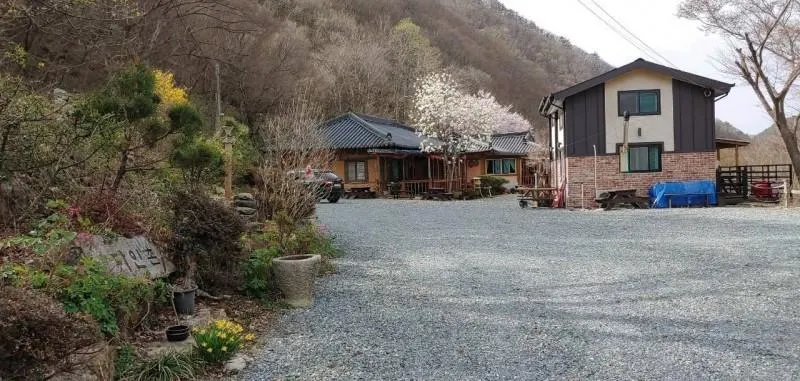 Yangsan (Baenaegol) Dainchon Pension - Image 1
