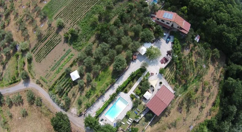 TENUTA MARTINO - Image 1