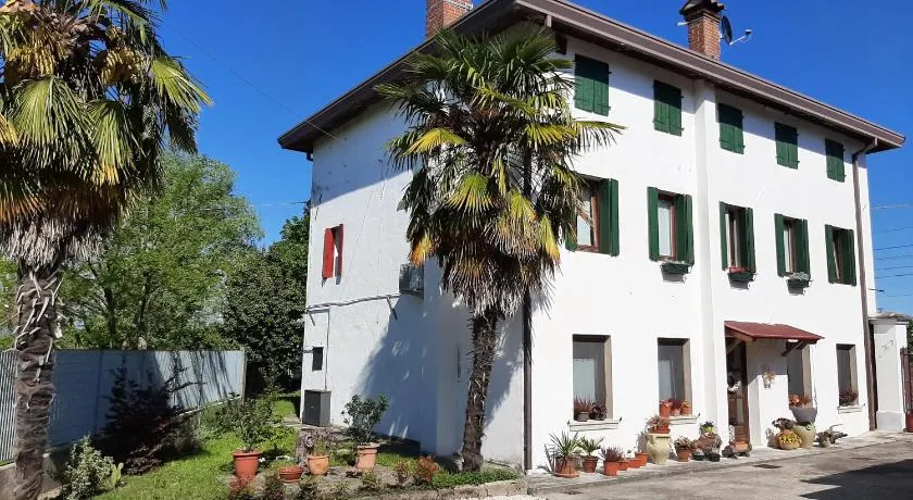 cà bianca - Image 1