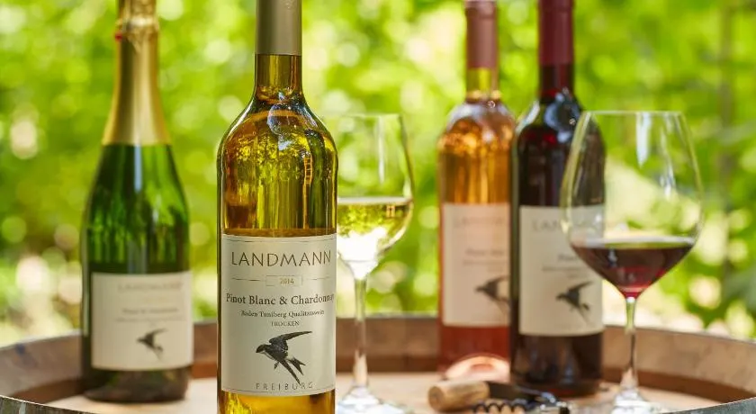 Weingut Landmann Ferienwohnungen - Image 1