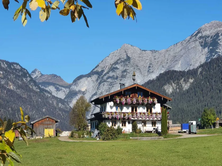 Holiday on an organic farm near ski slopes - Image 1