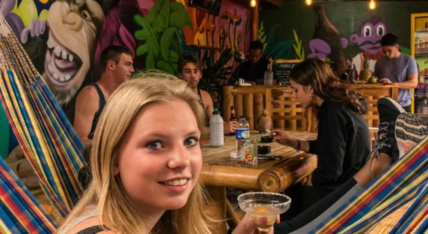 Purple Monkey Hostel - Image 1