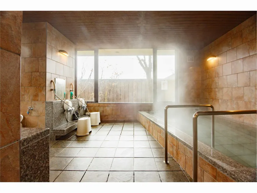 Joetsu Sunplaza Hotel - Image 1