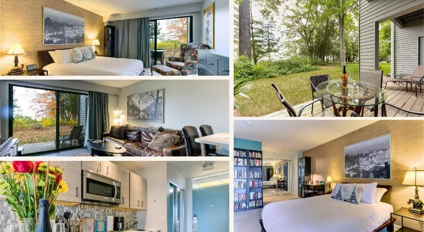 Cozy Aviation Style Lake View Condo at The Shores - Image 1