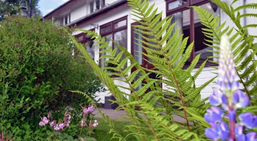 Ardlogie Guest House - Image 1