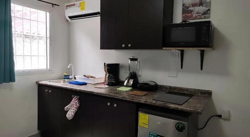 apartamentito tipo estudio AMUEBLADO tranquilo y acogedor cocina y baño privado independiente en CHANIS cerca de Costa del este - Image 1