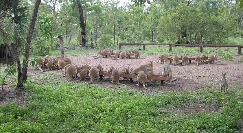 Nina's Ark Wildlife Sanctuary Package - Image 1