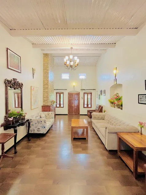 Bouganvilla - Image 1