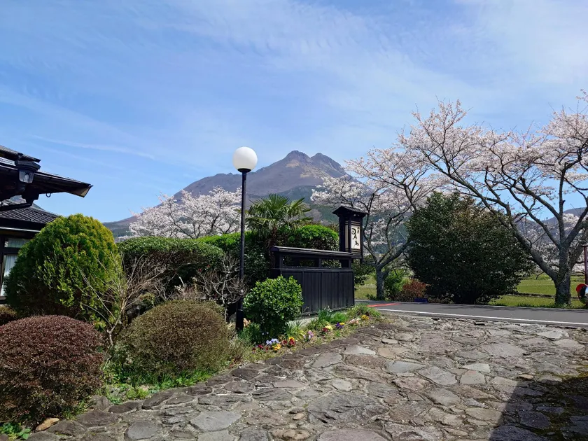 Sanso Tanaka - Image 1
