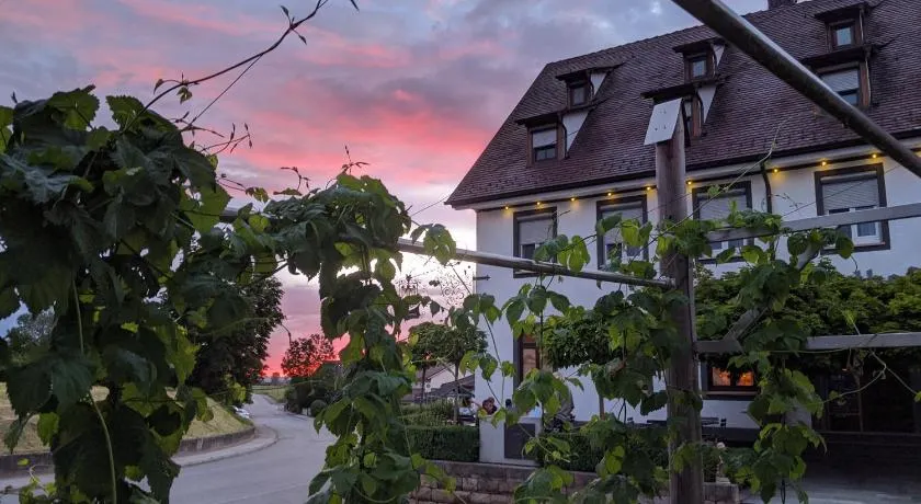 Brauereigasthof Adler - Image 1