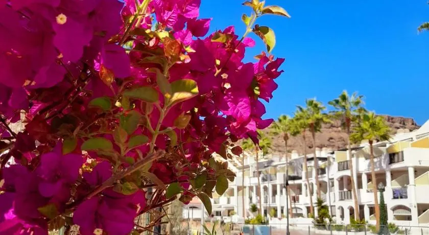 Vista Bella - Planta baja al lado de la piscina - Ground floor by the pool - Image 1