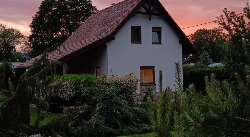 Pod klonem z Balią i Sauną - Image 1