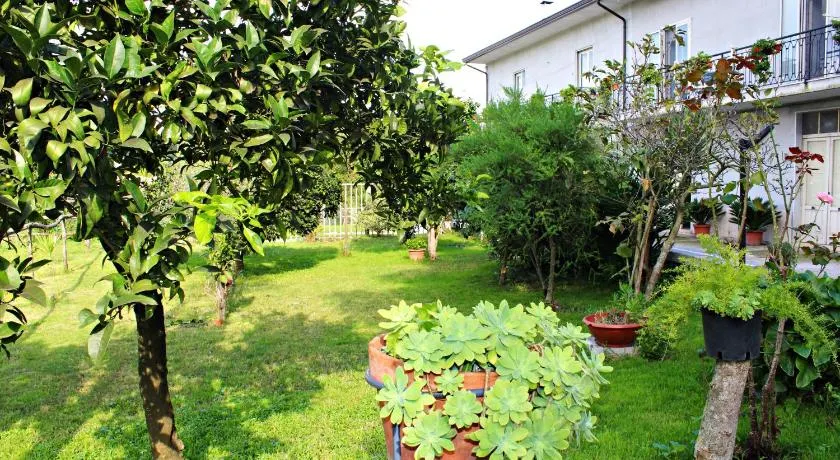 Il Moro Bianco - Image 1