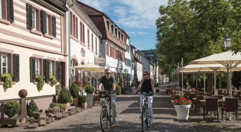 Altstadthotel Marktheidenfeld - Image 1