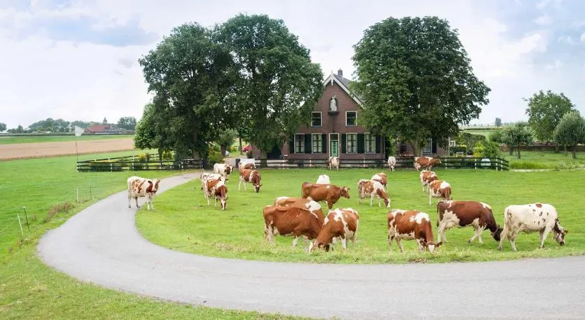 Sint Nicolaashoeve - Image 1