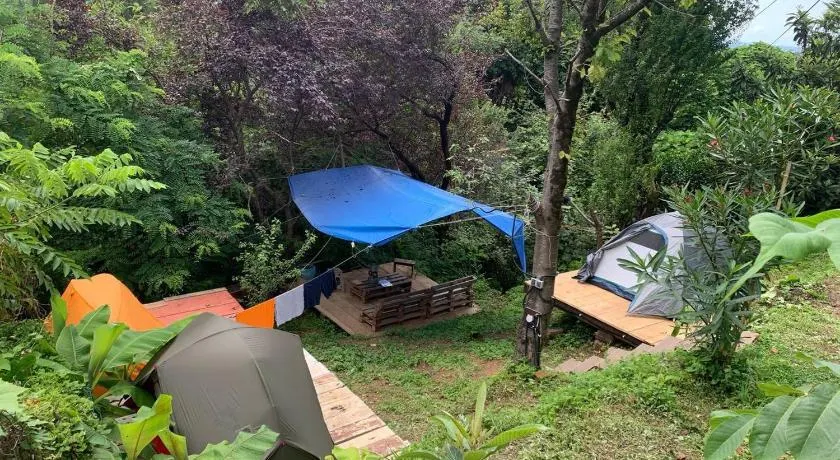 Forest & Sea Campsite - Image 1
