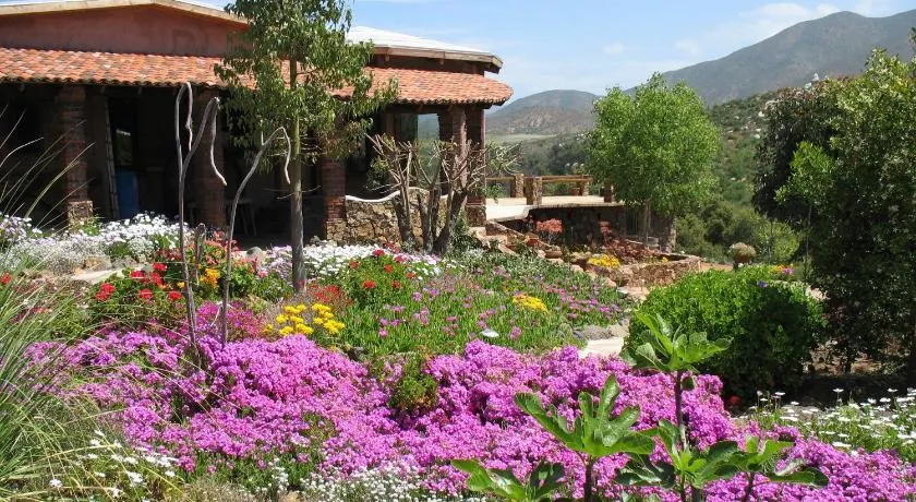 Quinta Maria en la Ruta del Vino - Image 1
