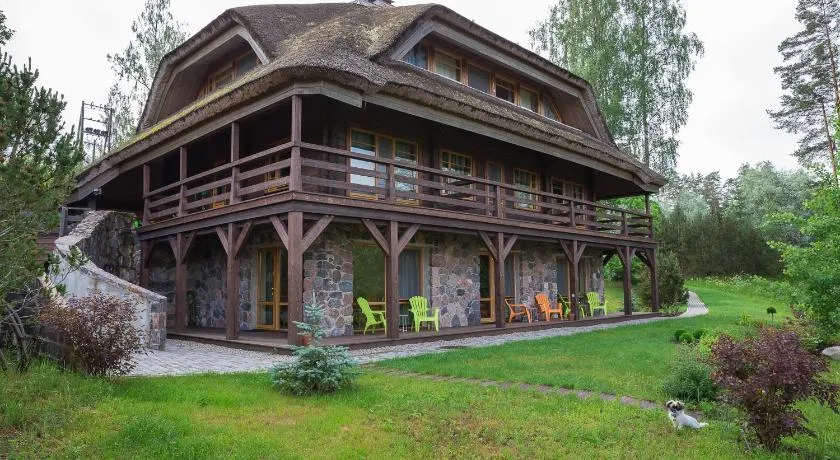 Dzeni - Image 1