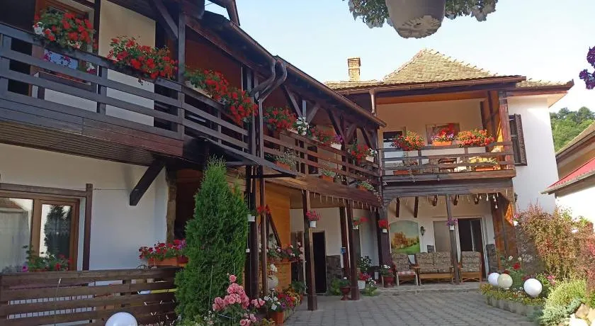 Pensiunea Liana - Image 1
