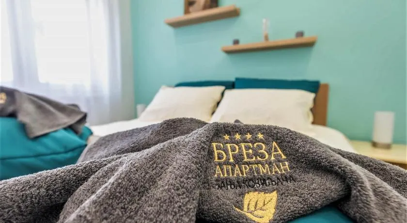 Apartman Breza - Апартман Бреза - Image 1