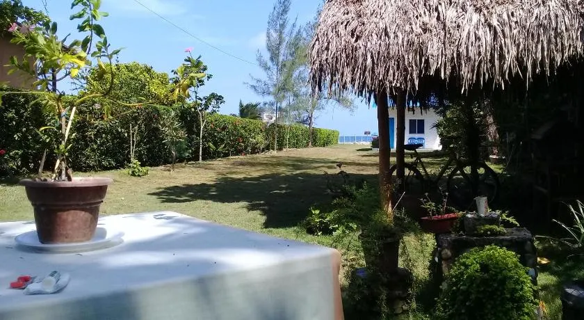 Portón Azul - Image 1