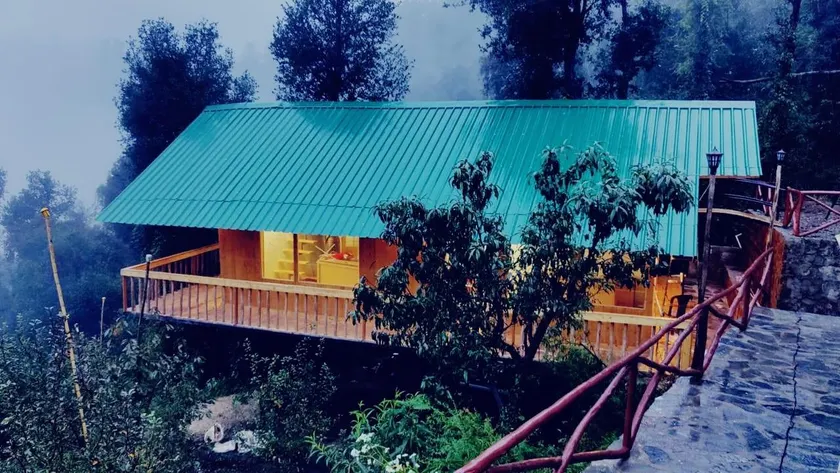 Tree Nest Resort - Image 1