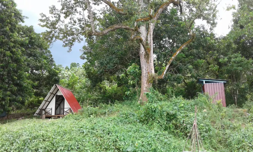 The Forest Cabin - Image 1