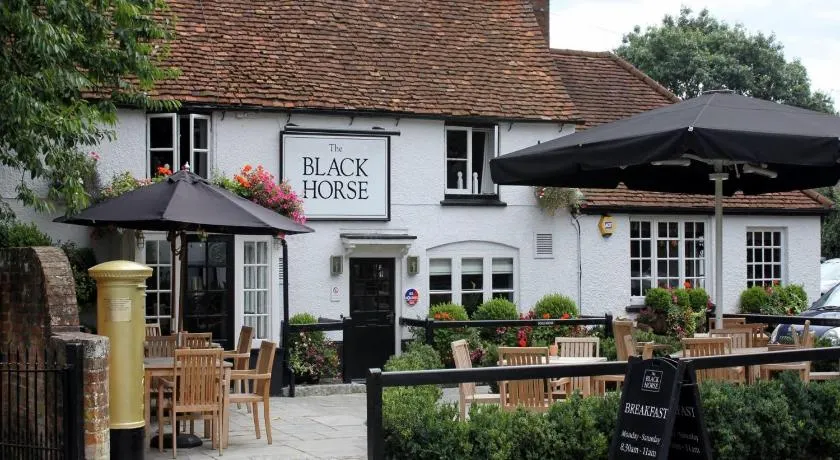 The Black Horse Fulmer - Image 1