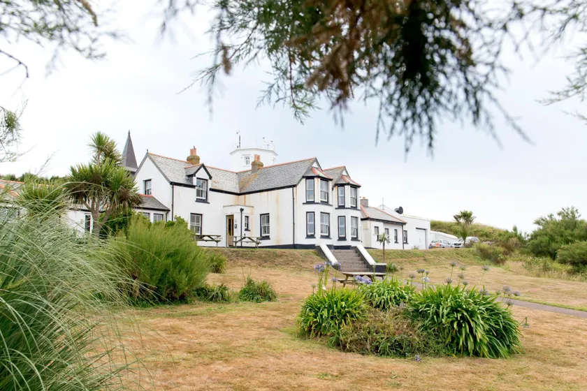 YHA Lizard - Image 1