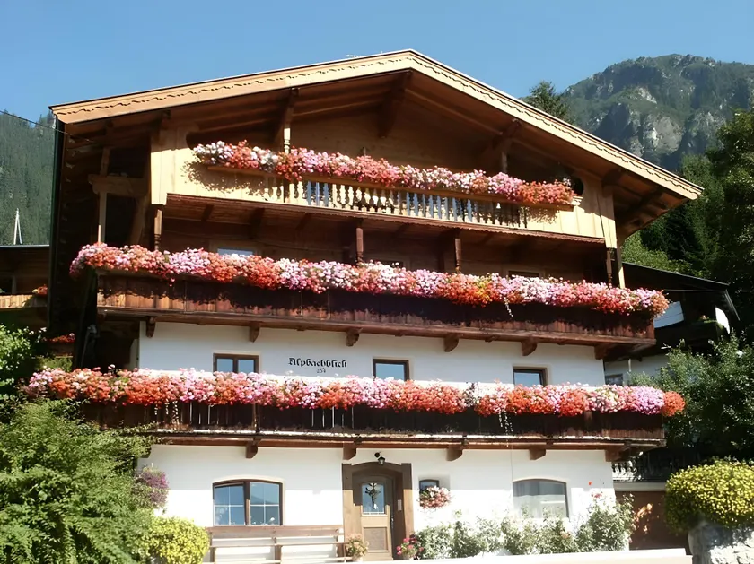 Alpbachblick - Image 1