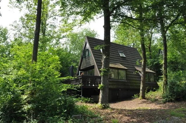 Vakantiehuis Durbuy 'De witte vlinder' - Image 1