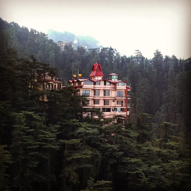 The Bodhi Tree BNB - Image 1