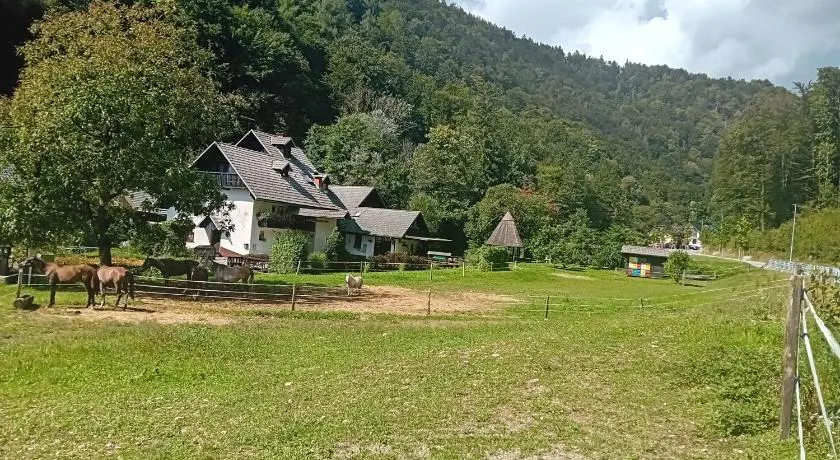 Apartments Gubanec - Image 1