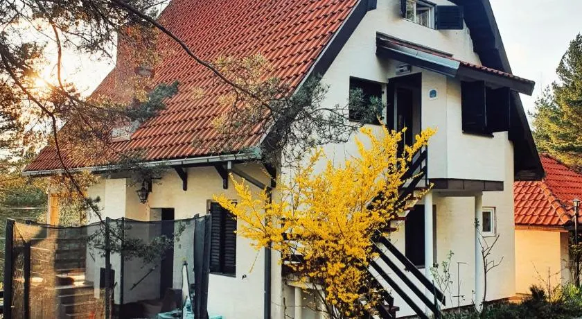 Sveti Pantelejmon Divčibare - Image 1