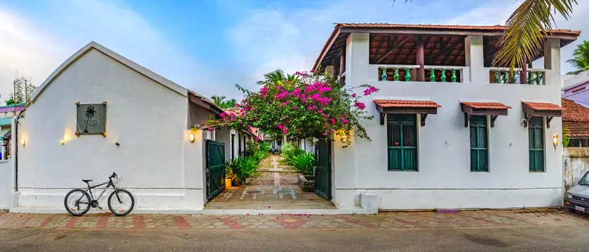 Neemrana's Coconut Alley - Image 1