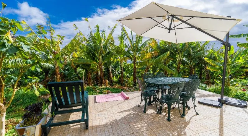 Sleep Among the Bananas! Rustic Cottage with Trails at Your Doorstep - Image 1