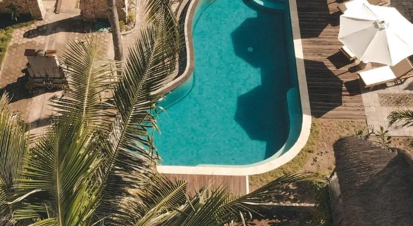 Tentacle Bali - Image 1