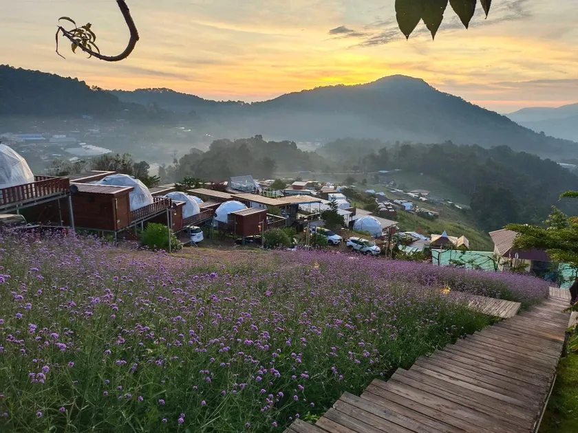 Raisuayang - Image 1