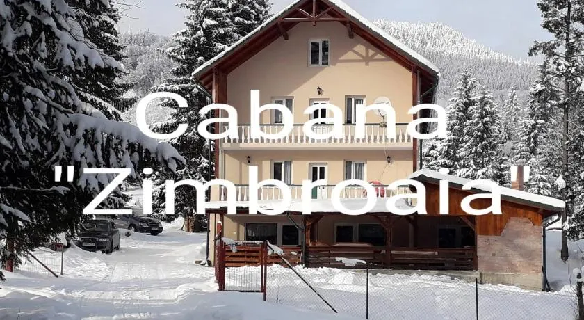 CABANA ZIMBROAIA 8 camere -Muntii Bârgăului, Transilvania - Image 1