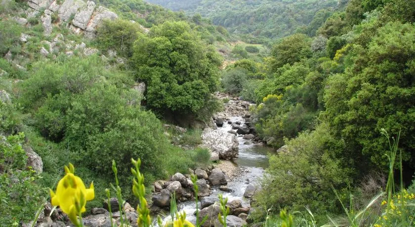 Tourism in the village - Image 1