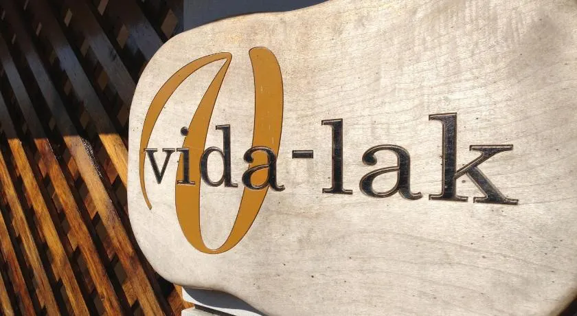 Vida-lak - Image 1